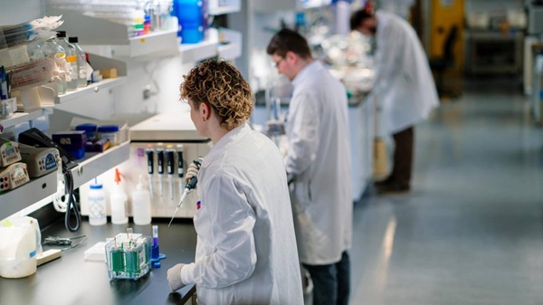 Mayo Clinic uses gene editing to reverse inherited kidney disease in preclinical study