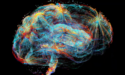 Mayo Clinic researchers discover hidden brain map that may improve epilepsy care