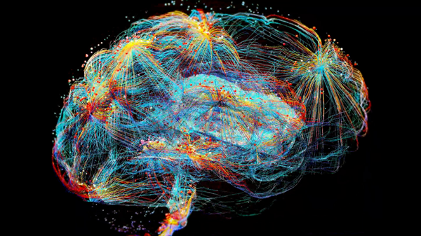 Mayo Clinic researchers discover hidden brain map that may improve epilepsy care