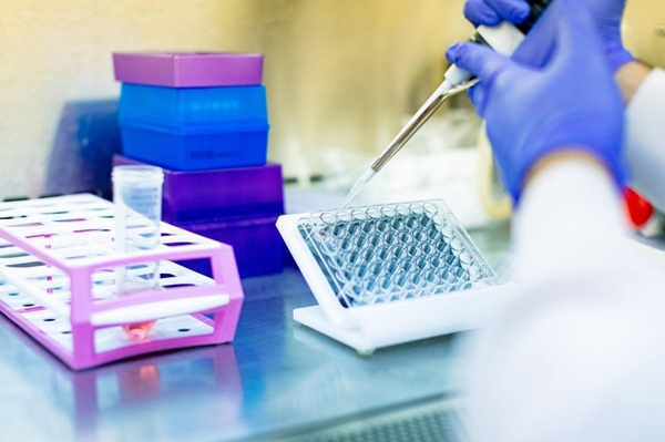 Mayo Clinic researchers find combination therapy reduces effects of ‘zombie cells’ in diabetic kidney disease