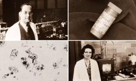 Cleveland Clinic Recognized as a National Historic Chemical Landmark for Serotonin Discovery