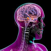 glp 1 side effects depression Common GLP-1 Weight-loss Side Effects