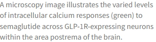 tirzepatide update FDA approval for Zepbound (tirzepatide) injection, the first and only  obesity treatment of its kind that activates both GIP and GLP-1 hormone  receptors - Eli Lilly
