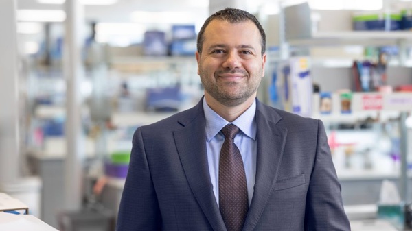 MAYO: Researchers identify new kidney pathway with help from 1940s-era drug, may improve polycystic kidney disease treatment