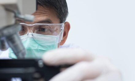 Mayo Clinic researchers uncover critical link in the immune response to cancer