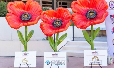 GALLERIA FORT LAUDERDALE TO PRESENT THE POPPY PROJECT POP-UP LIVING GARDEN  TO SUPPORT HENDERSON BEHAVIORAL HEALTH’S VETERAN SERVICES SEPTEMBER 10 – NOVEMBER 10