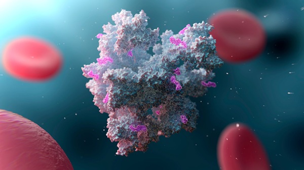 Reshaping the gut microbiome can boost chemotherapy delivery to tumors