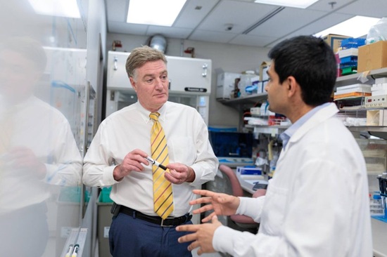 Researchers discover immune ‘off switch’ used by cancer cells