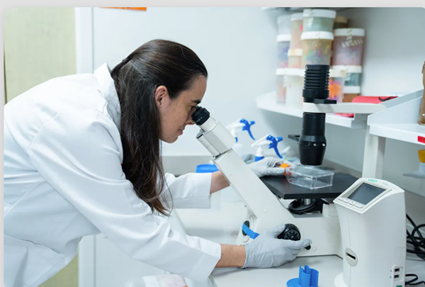 Miller School of Medicine Researchers Identify Molecular Marker Linked to Faster Cognitive Decline in Alzheimer’s Disease